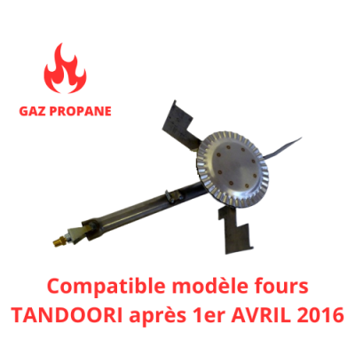Brûleur gaz propane pour Four Tandoori (AVANT 2016) - GOLDINOX Brûleur gaz propane pour Four Tandoori (AVANT 2016) - GOLDINOX