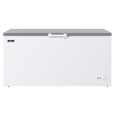 Congélateur coffre 650 L - GOLDINOX Congélateur coffre 650 L - GOLDINOX